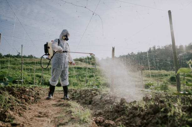 Best Affordable Pest Control Services  in Pennsboro, WV