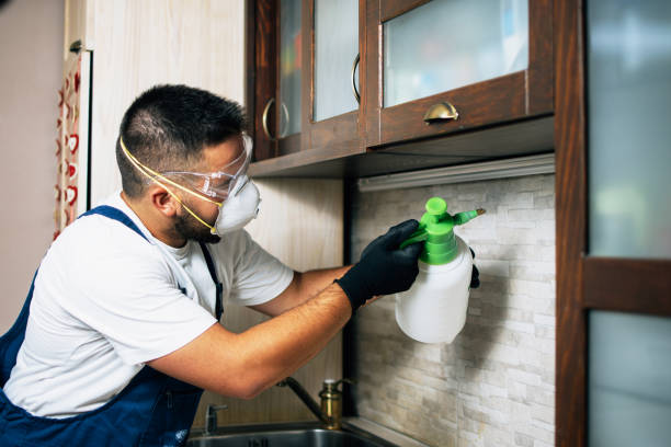 Best Commercial Pest Control Services  in Pennsboro, WV
