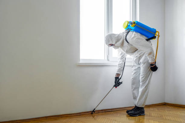 Best Insect Control  in Pennsboro, WV