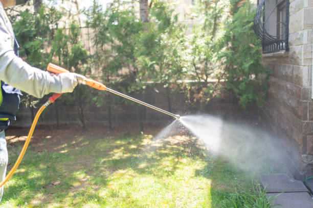 Wasp Removal Services in Pennsboro, WV