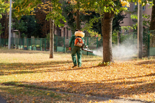 Best Mosquito Control Services  in Pennsboro, WV