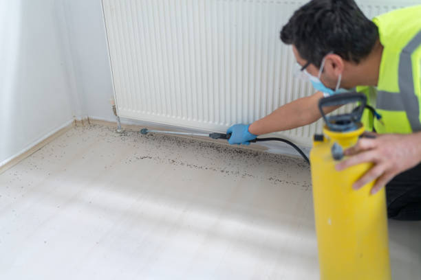 Best Cockroach Control Services  in Pennsboro, WV