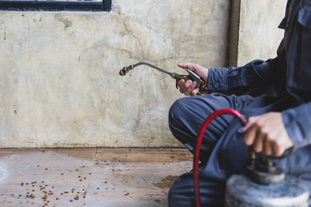 Best Termite Control Services  in Pennsboro, WV